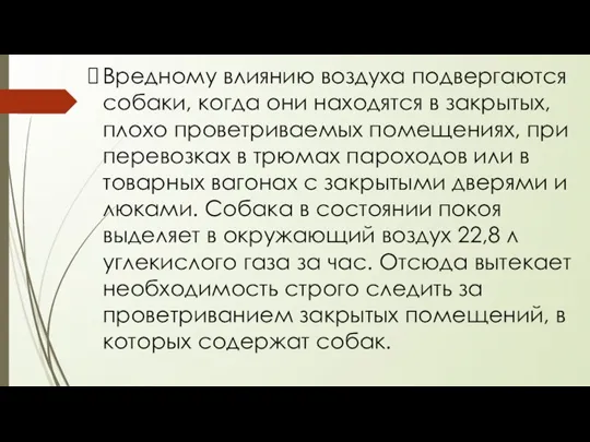 Вредному влиянию воздуха подвергаются собаки, когда они находятся в закрытых, плохо проветриваемых