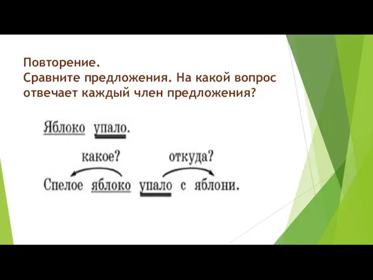 Повторение. Сравните предложения. На какой вопрос отвечает каждый член предложения?