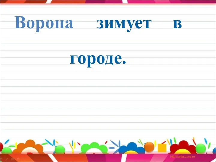 Ворона зимует в городе.