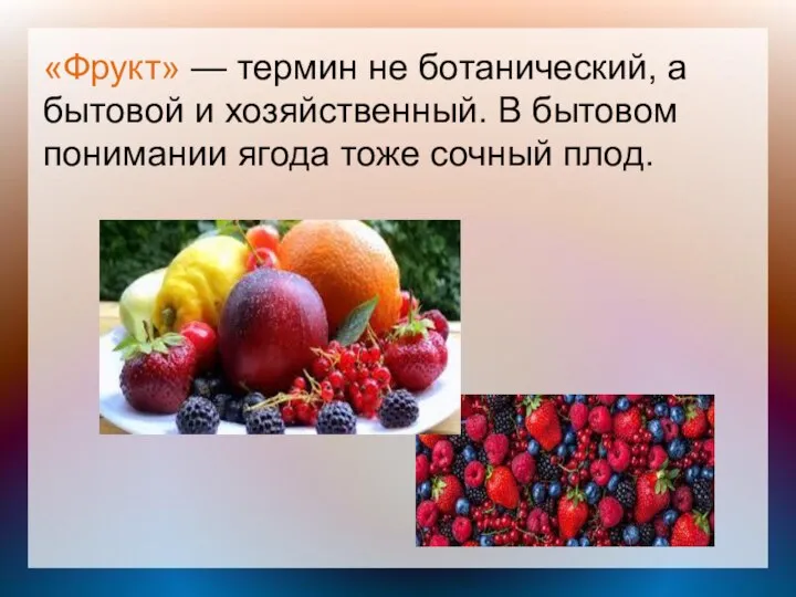 «Фрукт» — термин не ботанический, а бытовой и хозяйственный. В бытовом понимании ягода тоже сочный плод.