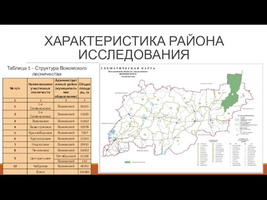 ХАРАКТЕРИСТИКА РАЙОНА ИССЛЕДОВАНИЯ Таблица 1 – Структура Вохомского лесничества