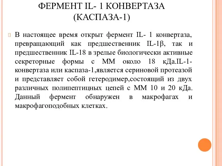 ФЕРМЕНТ IL- 1 КОНВЕРТАЗА (КАСПАЗА-1) В настоящее время открыт фермент IL- 1