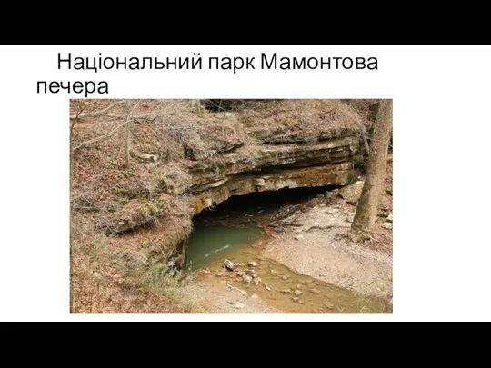 Національний парк Мамонтова печера