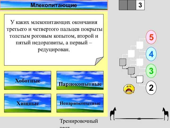 Тренировочный тест У каких млекопитающих окончания третьего и четвертого пальцев покрыты толстым