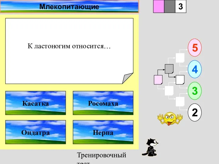 Тренировочный тест К ластоногим относится… 1 Ондатра Нерпа 5 2 3 4