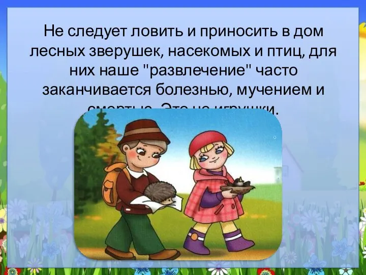 Не следует ловить и приносить в дом лесных зверушек, насекомых и птиц,