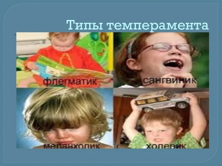 Типы темперамента