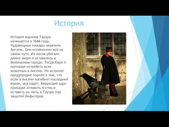 История История воронов Тауэра начинается в 1666 году. Чудовищные пожары охватили Англию.