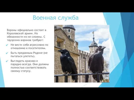 Военная служба Вороны официально состоят в Королевской армии. Но обязанности их не