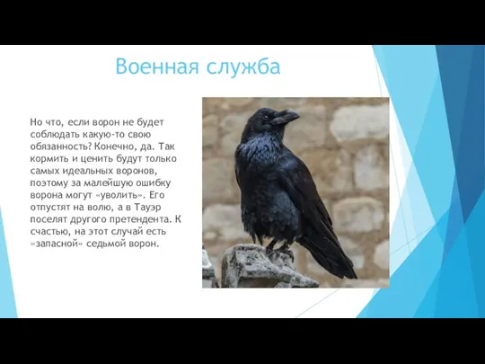 Военная служба Но что, если ворон не будет соблюдать какую-то свою обязанность?