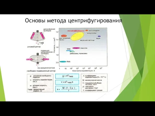 Основы метода центрифугирования