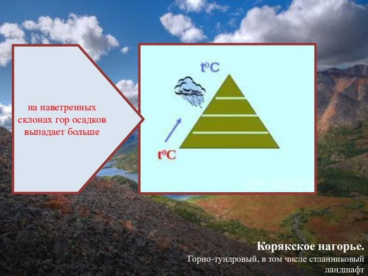 Корякское нагорье. Горно-тундровый, в том числе стланниковый ландшафт на наветренных склонах гор осадков выпадает больше