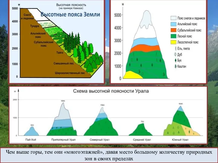 . Чем выше горы, тем они «многоэтажней», давая место большому количеству природных зон в своих пределах