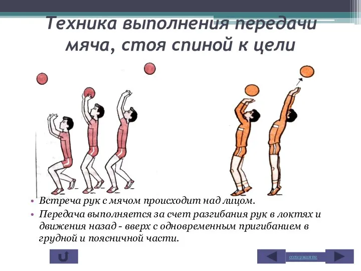 Техника выполнения передачи мяча, стоя спиной к цели Встреча рук с мячом