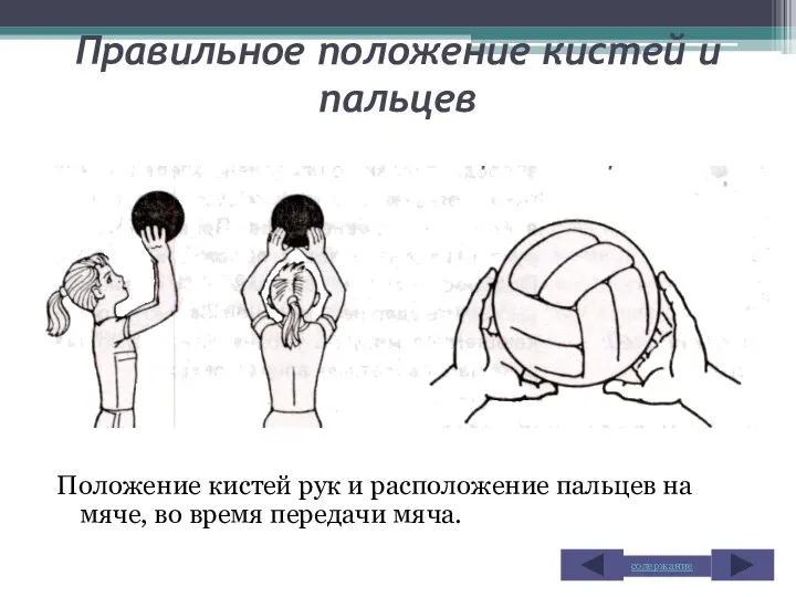 Правильное положение кистей и пальцев Положение кистей рук и расположение пальцев на