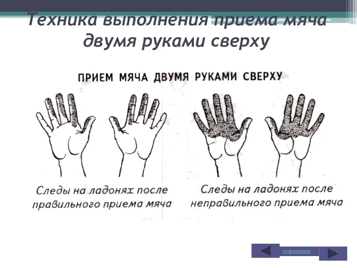 Техника выполнения приема мяча двумя руками сверху содержание