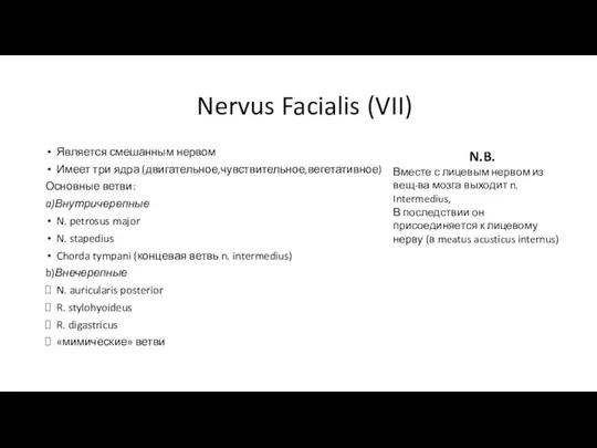 Nervus Facialis (VII) Является смешанным нервом Имеет три ядра (двигательное,чувствительное,вегетативное) Основные ветви: