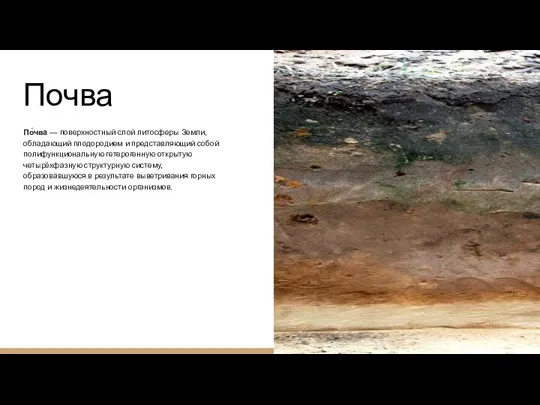 Почва По́чва — поверхностный слой литосферы Земли, обладающий плодородием и представляющий собой