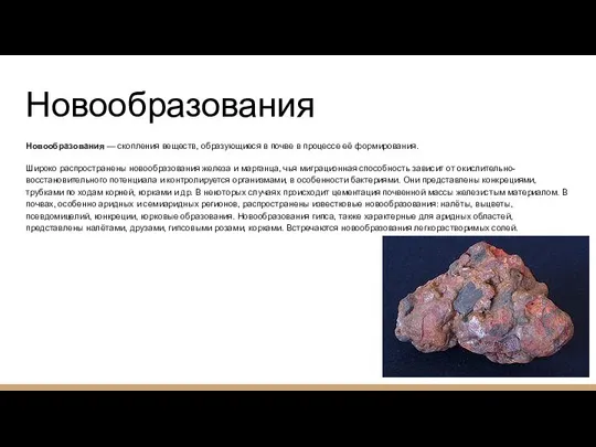 Новообразования Новообразования — скопления веществ, образующиеся в почве в процессе её формирования.