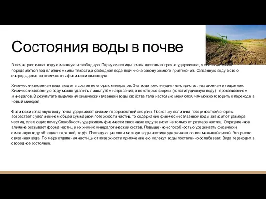 Состояния воды в почве В почве различают воду связанную и свободную. Первую