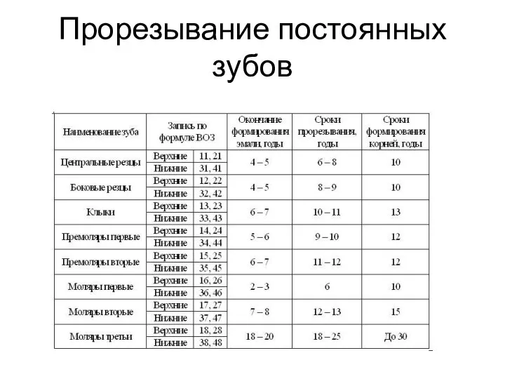 Прорезывание постоянных зубов