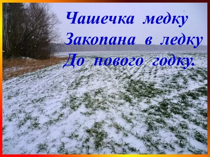 Чашечка медку Закопана в ледку До нового годку.