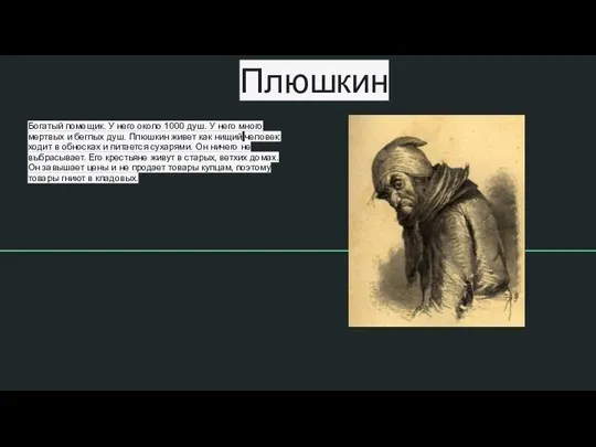 Плюшкин Богатый помещик. У него около 1000 душ. У него много мертвых