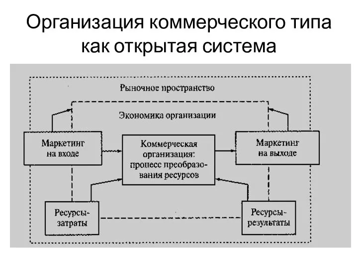 Организация коммерческого типа как открытая система