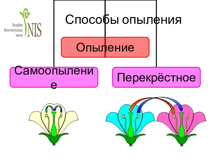 Способы опыления