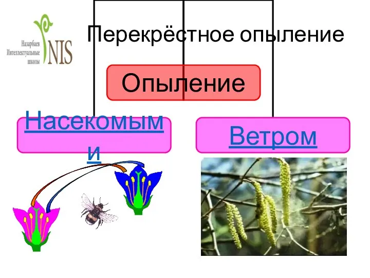 Перекрёстное опыление