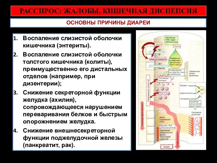 РАССПРОС: ЖАЛОБЫ, КИШЕЧНАЯ ДИСПЕПСИЯ ОСНОВНЫ ПРИЧИНЫ ДИАРЕИ Воспаление слизистой оболочки кишечника (энтериты).