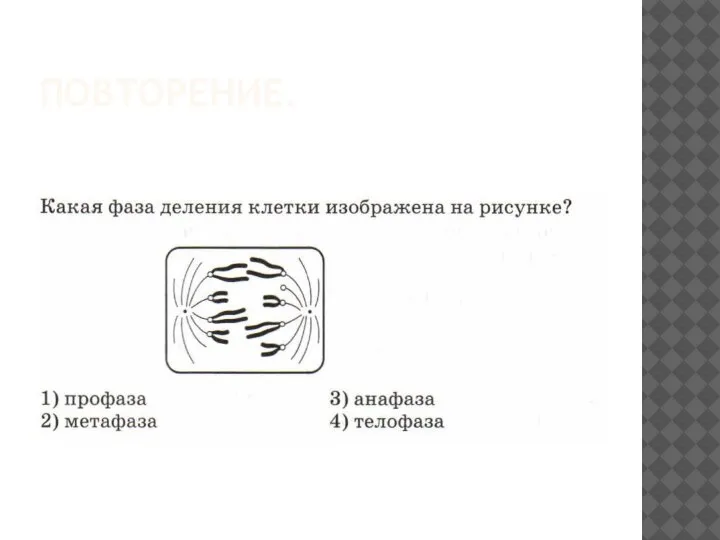 ПОВТОРЕНИЕ.