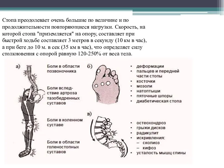 Стопа преодолевает очень большие по величине и по продолжительности повторяющиеся нагрузки. Скорость,