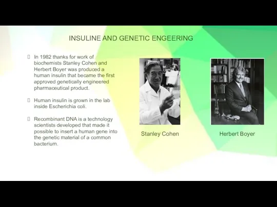 INSULINE AND GENETIC ENGEERING In 1982 thanks for work of biochemists Stanley