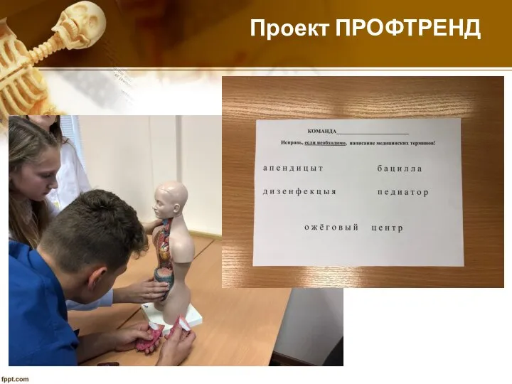 Проект ПРОФТРЕНД