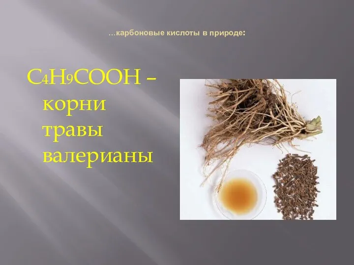 …карбоновые кислоты в природе: С4Н9СООН – корни травы валерианы