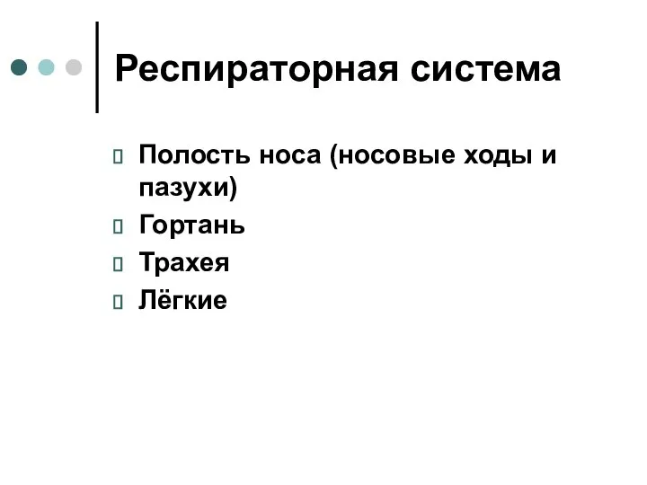 Респираторная система Полость носа (носовые ходы и пазухи) Гортань Трахея Лёгкие