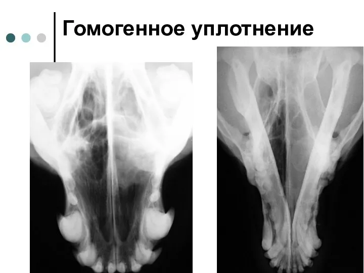 Гомогенное уплотнение