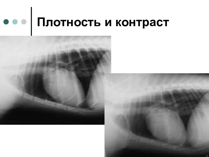 Плотность и контраст