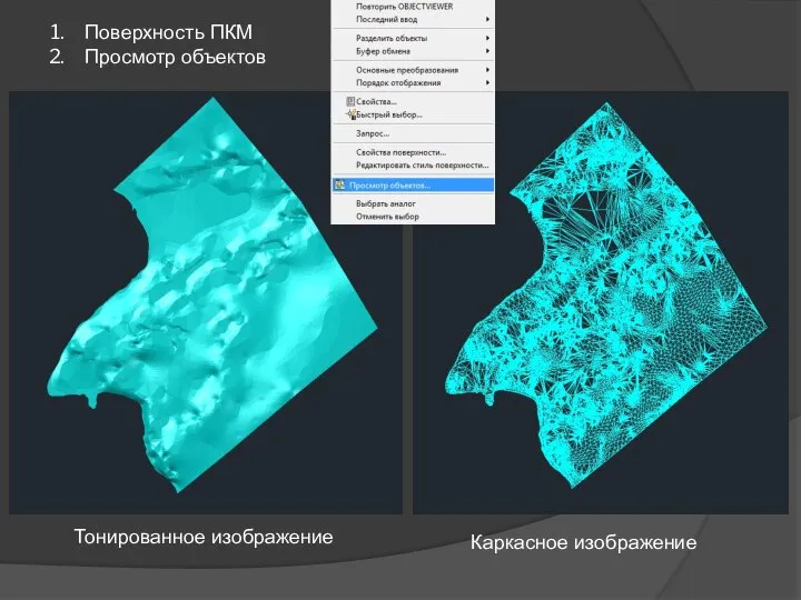 Тонированное изображение Каркасное изображение Поверхность ПКМ Просмотр объектов