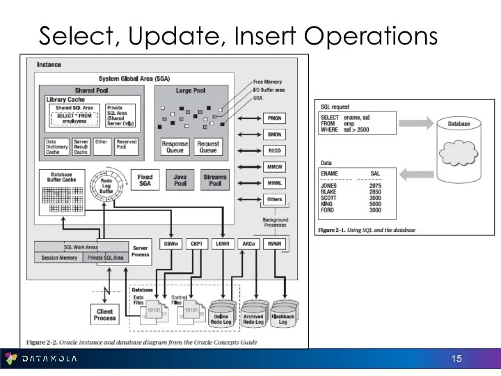 Select, Update, Insert Operations