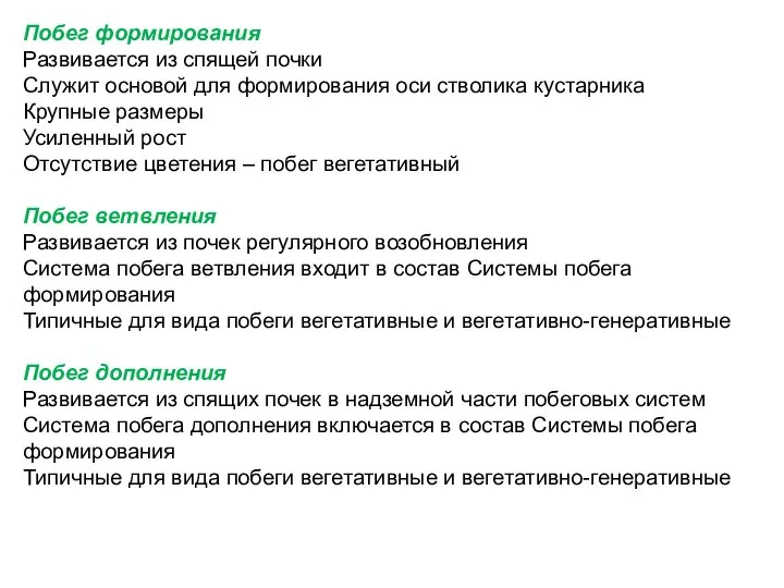 Побег формирования Развивается из спящей почки Служит основой для формирования оси стволика