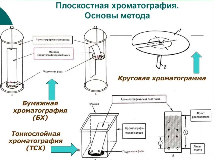 Различают колоночную, капиллярную и плоскостную хроматографии, т. е. хроматографию на бумаге (бумажную)