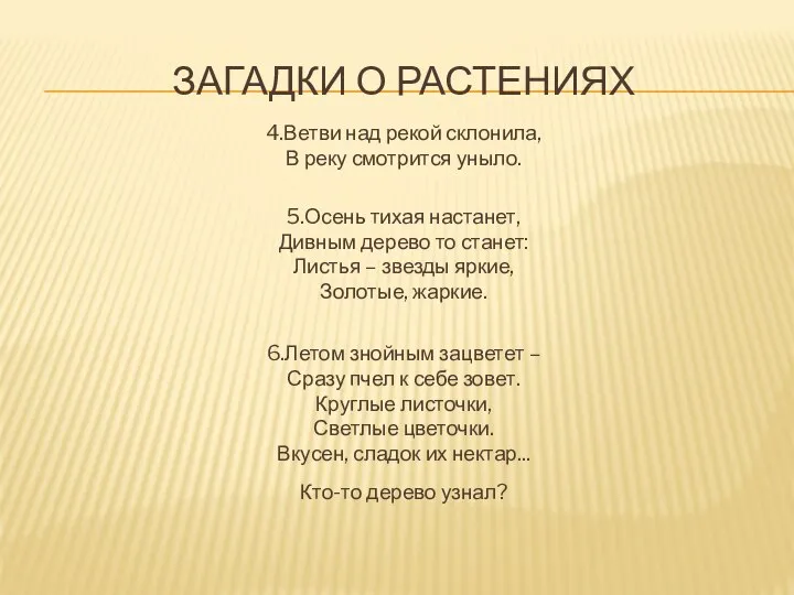 ЗАГАДКИ О РАСТЕНИЯХ 4.Ветви над рекой склонила, В реку смотрится уныло. 5.Осень