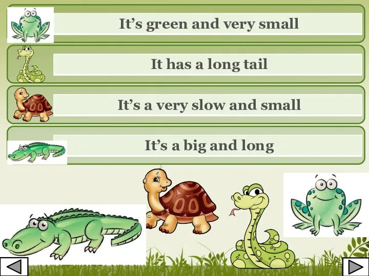 It’s green and very small It has a long tail It’s a
