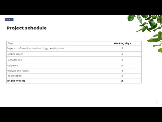 Project schedule