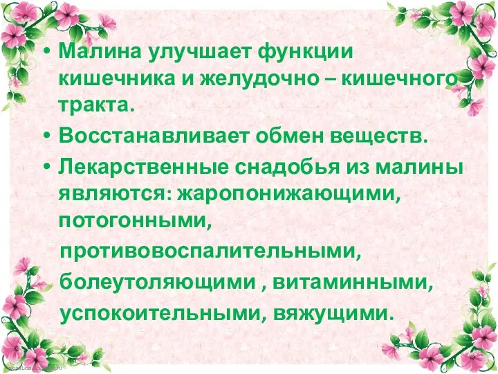 Малина улучшает функции кишечника и желудочно – кишечного тракта. Восстанавливает обмен веществ.