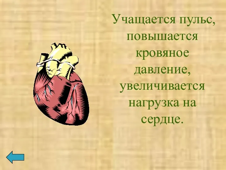 Учащается пульс, повышается кровяное давление, увеличивается нагрузка на сердце.