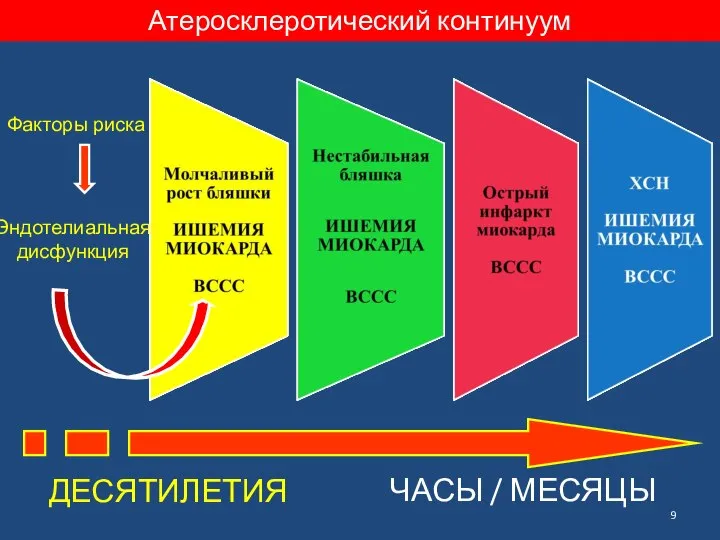 Атеросклеротический континуум Эндотелиальная дисфункция ДЕСЯТИЛЕТИЯ ЧАСЫ / МЕСЯЦЫ Факторы риска