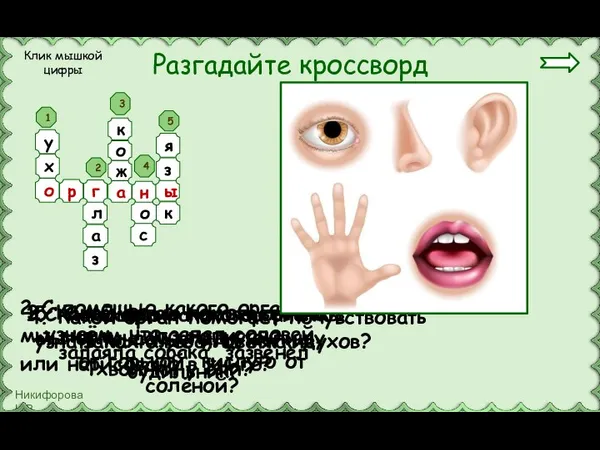 1.С помощью какого органа мы узнаём, что запел соловей, залаяла собака, зазвенел